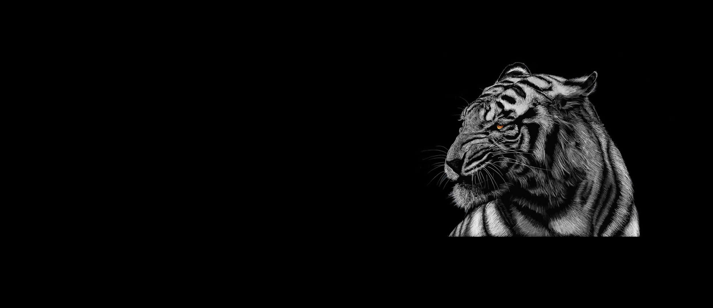 tiger-background9